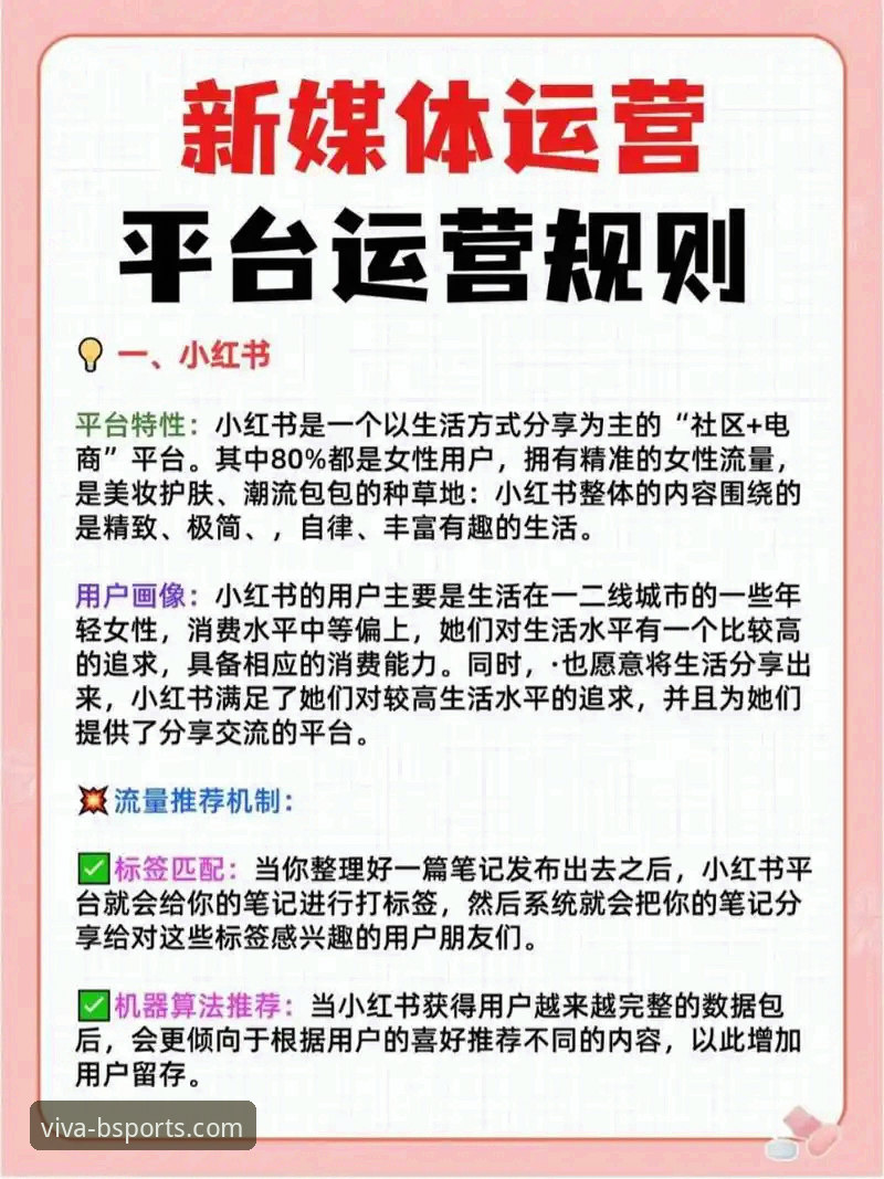 bsports娱乐平台实用指南：新手快速入门的必备知识